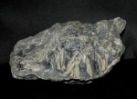 Pinolit